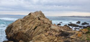 The Ultimate West Coast Road Trip: A Logistical Blueprint for California, Nevada, and Arizona