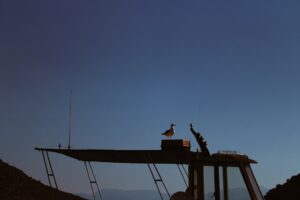 Campsite Comfort: Perfect RV Awning Setup Techniques