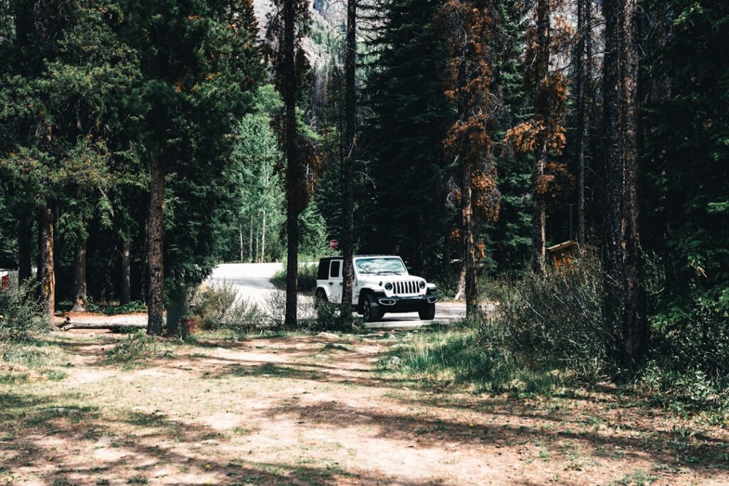 Show an RV parked in a secluded National Forest dispersed camping spot surrounded by tall pine trees, with a campfire ring in